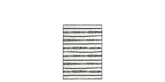 Black and White Woven Rug